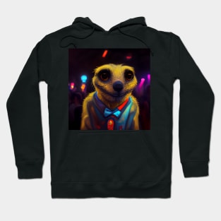 colourful meerkat 08 Hoodie